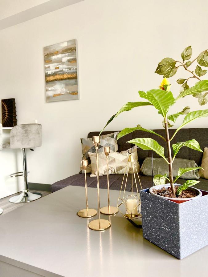 Comodo Y Elegante Apartamento En Fabuloso Condo! San José Buitenkant foto