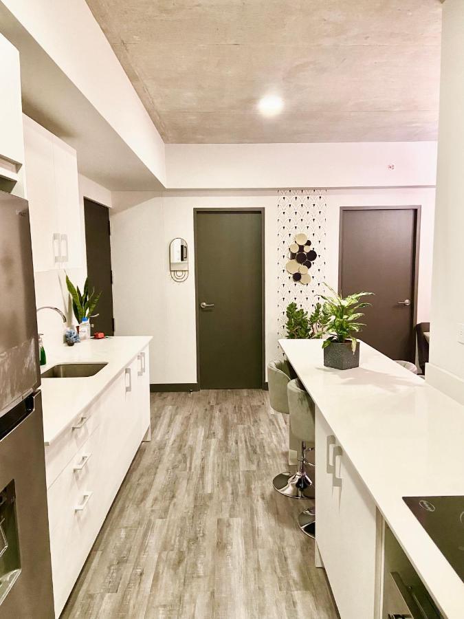 Comodo Y Elegante Apartamento En Fabuloso Condo! San José Buitenkant foto