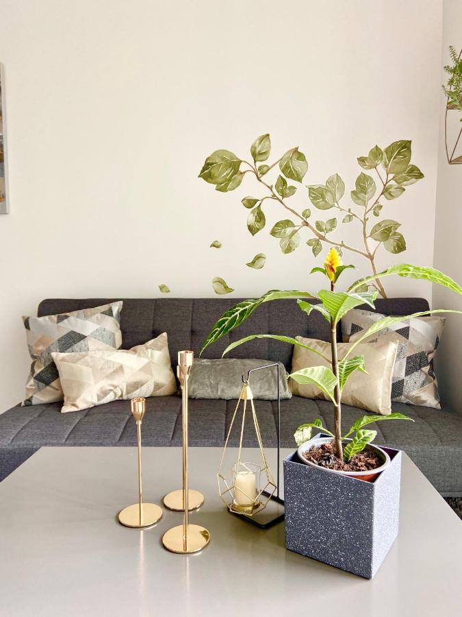Comodo Y Elegante Apartamento En Fabuloso Condo! San José Buitenkant foto